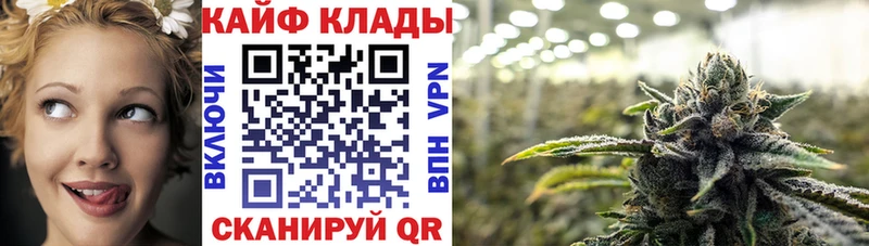 Где купить Королёв Кодеин КОКАИН Меф Alpha-PVP Канабис ГАШИШ