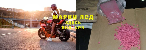 шишки Арсеньев