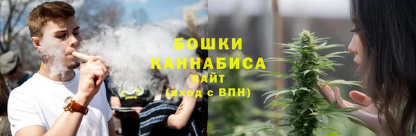 шишки Арсеньев