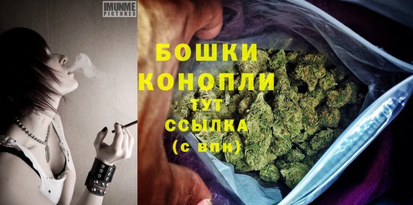 шишки Арсеньев