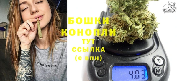 шишки Арсеньев