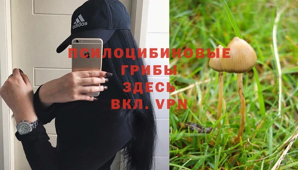 прущие крисы Аркадак