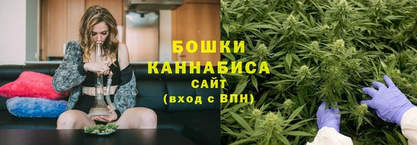 прущие крисы Аркадак