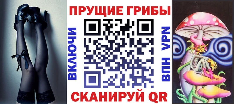 Галлюциногенные грибы Psilocybine cubensis  Королёв 